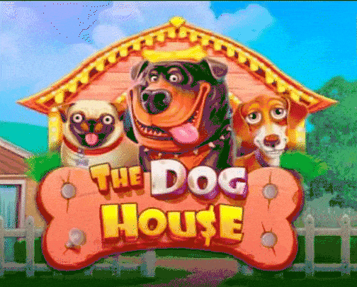play The Dog House in lolajack casino